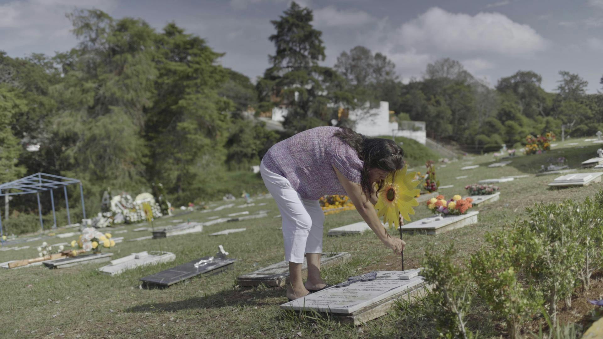 Norma Trujillo, amiga de Regina Martínez, Veracruz, asesinato, 